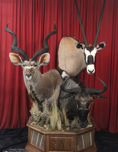 Stacked Pedestal | Greater Southern Kudu