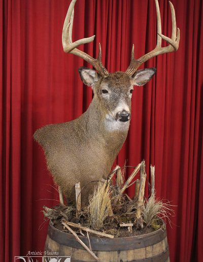 Full Pedestal | Whitetail Deer
