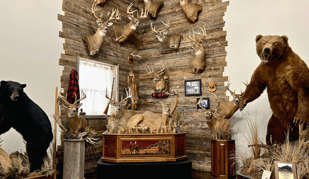 Why A Local Taxidermist Is The Best Choice For You
