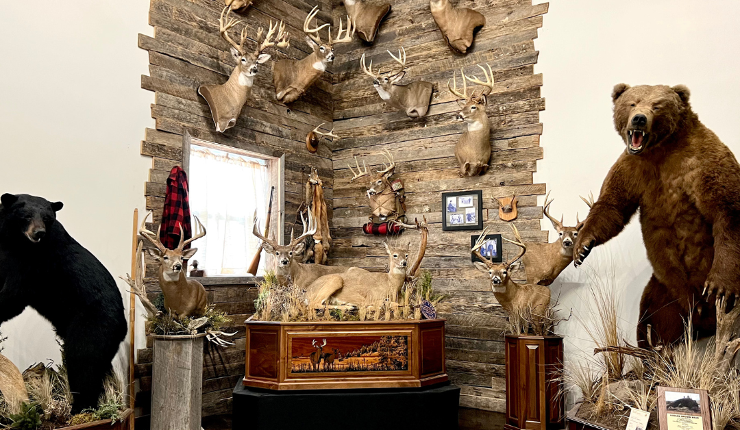 Taxidermist Tips for Homeowners: What to Consider When Hiring