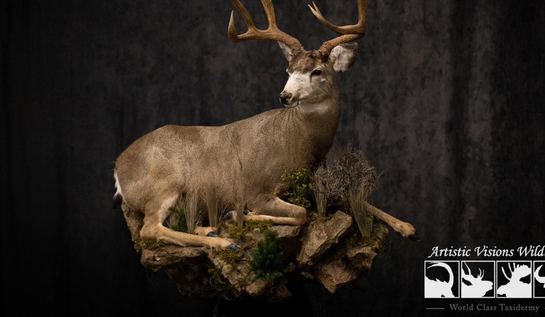 Finding The Best Taxidermy Berks County