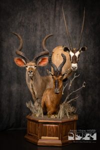 Stacked pedestal mount with African Kudu Gemsbok Hartebeest Pedestal Taxidermy